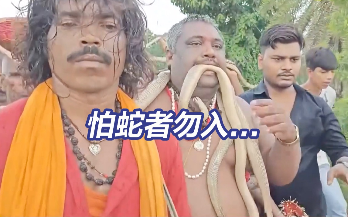 满街尽是大蛇！印度比哈尔邦庆祝“蛇节”