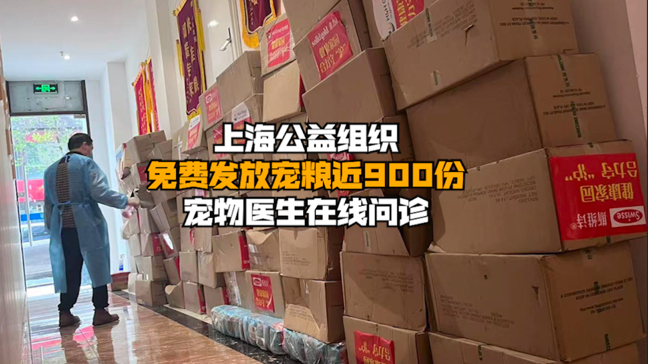 上海公益组织免费发放宠粮近900份，提供宠物在线问诊