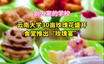 实名羡慕！云南大学30亩玫瑰花开放，食堂推出“玫瑰宴”