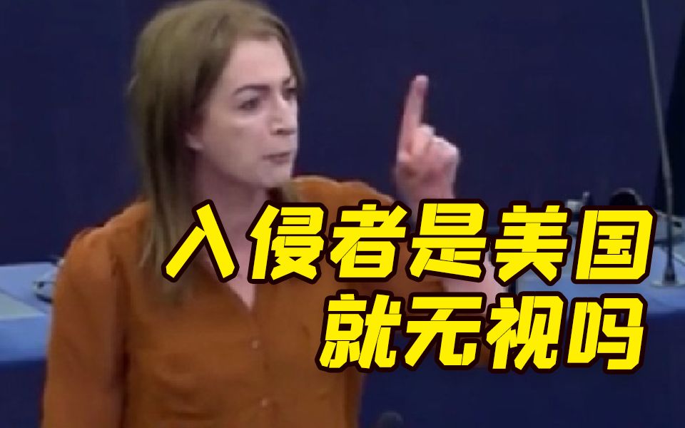 "难道因入侵者是美国就无视吗？"欧洲议员质问阿富汗与乌克兰区别