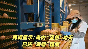 民调显示：岛内“蛋怨”冲天，已达“海啸”程度