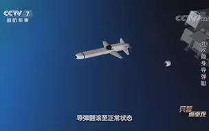 “盾”级导弹艇上的主要攻击武器是8枚“海军打击导弹”