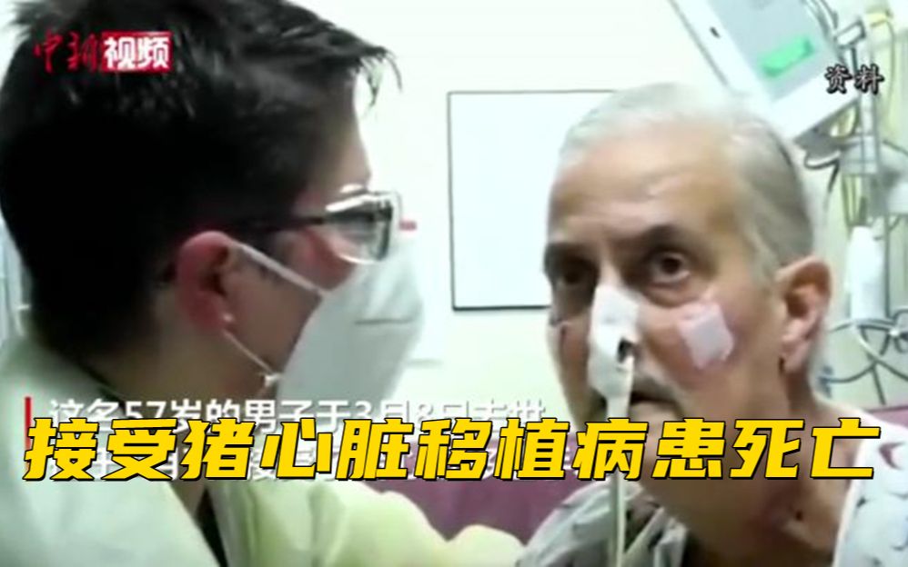 全球首个接受猪心脏移植病患死亡