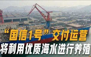 10万吨级养殖船工船在青岛交付，首批养殖大黄鱼预计秋季起捕上市