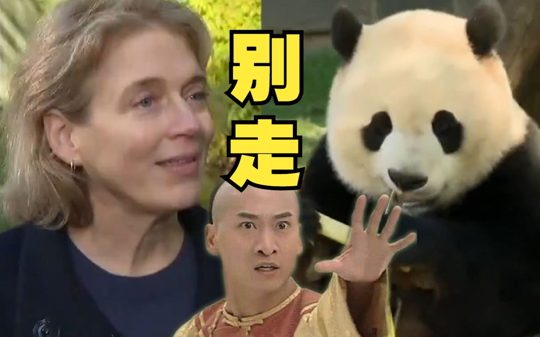 外媒关注美香一家回国，美国国家动物园主管称将尽全力让大熊猫再回来