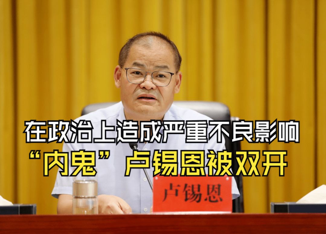 在政治上造成严重不良影响，“内鬼”卢锡恩被双开