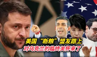 美国“断粮”盟友跟上，对乌克兰的临终关怀来了