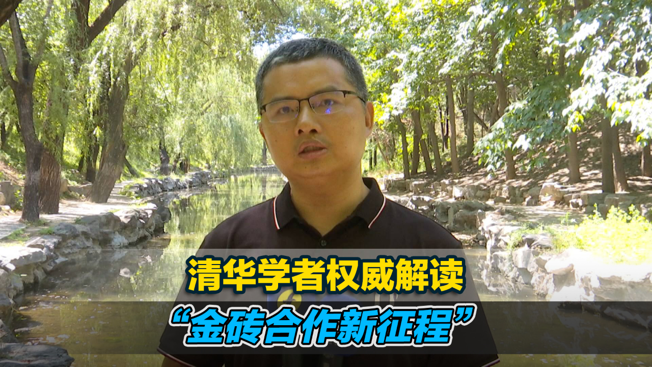 清华学者权威解读“金砖合作新征程”