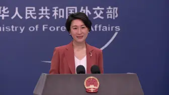 明年见！2023年外交部共举行229场记者会