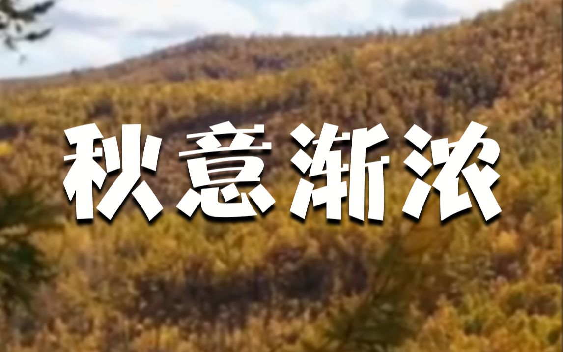 实拍！一段视频感受斑斓秋色