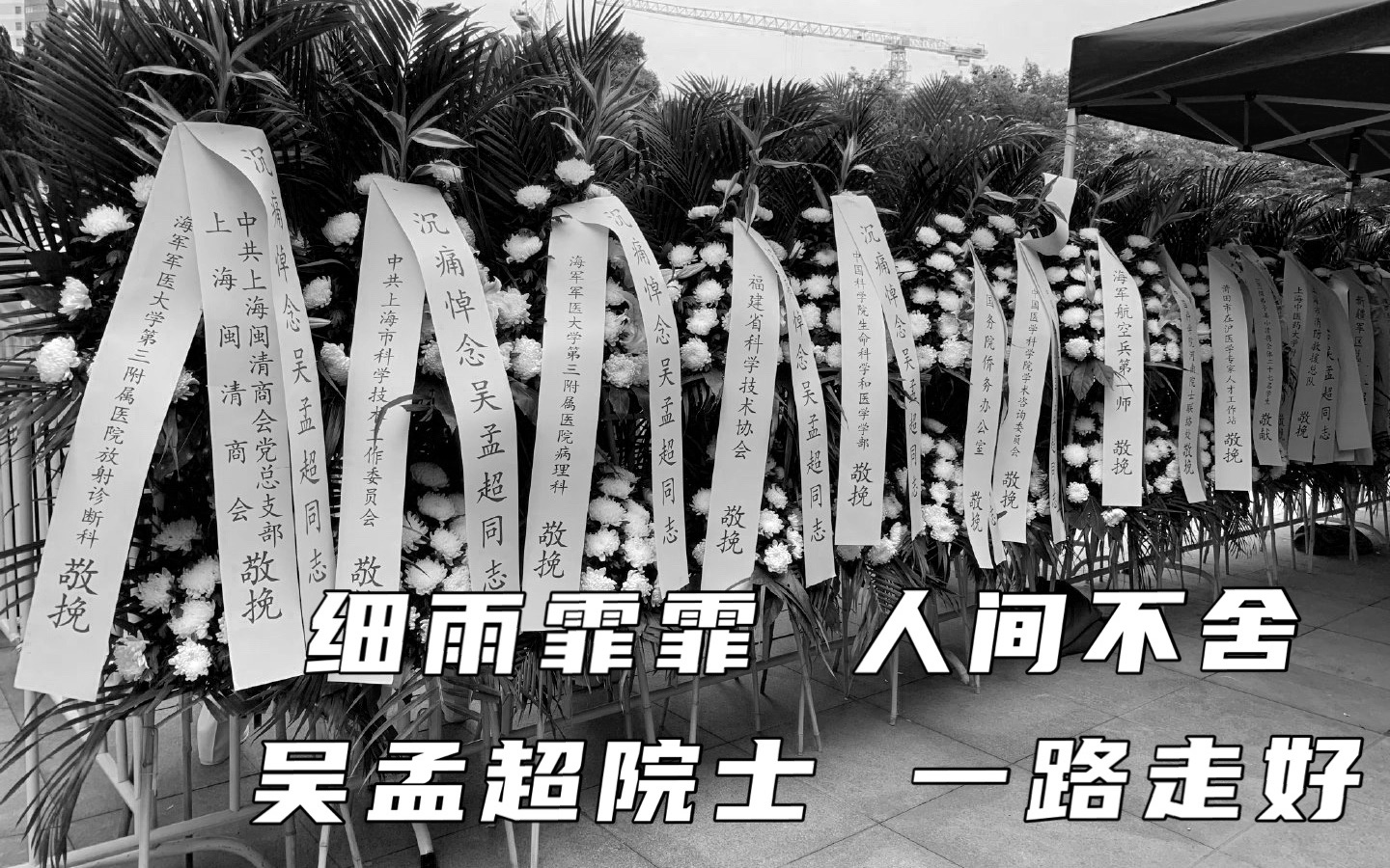 送别！吴孟超院士，一路走好
