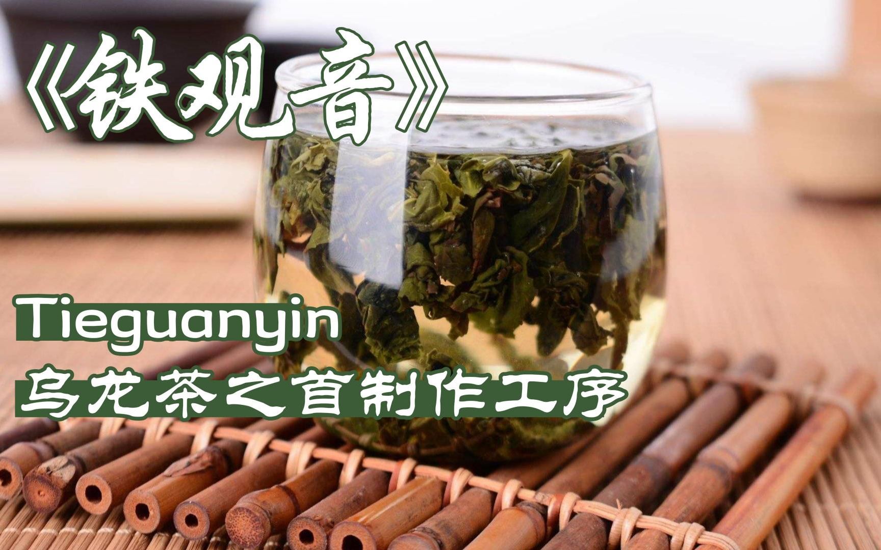 闽台非遗：品青茶之香气，观其之工序