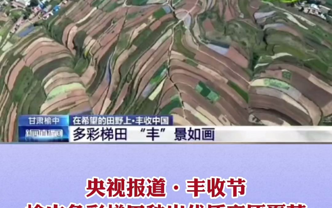 丰收节榆中多彩梯田种出优质高原夏菜
