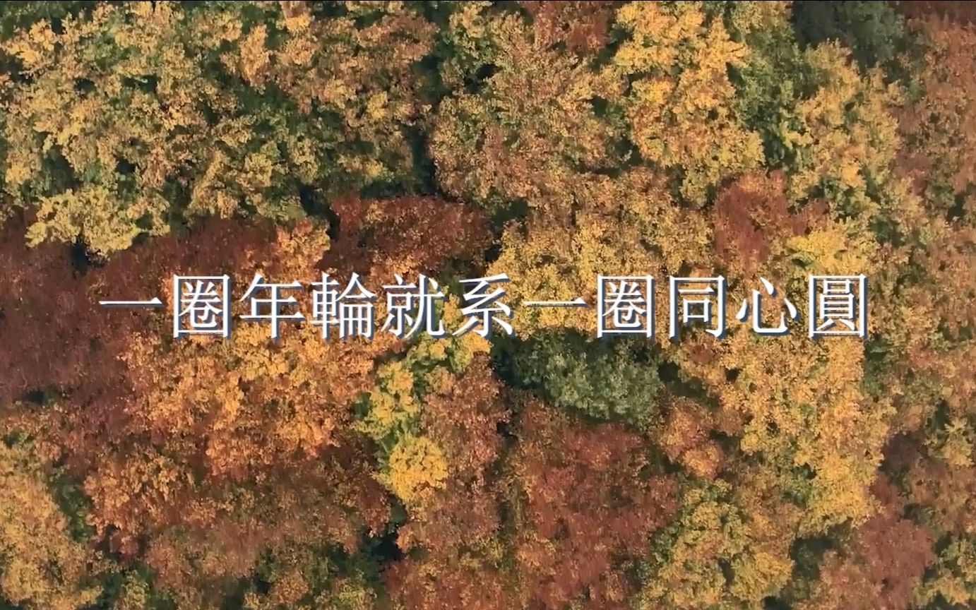 “这25圈年轮便是25圈香港与祖国的同心圆”，祝福香港明天会更好！