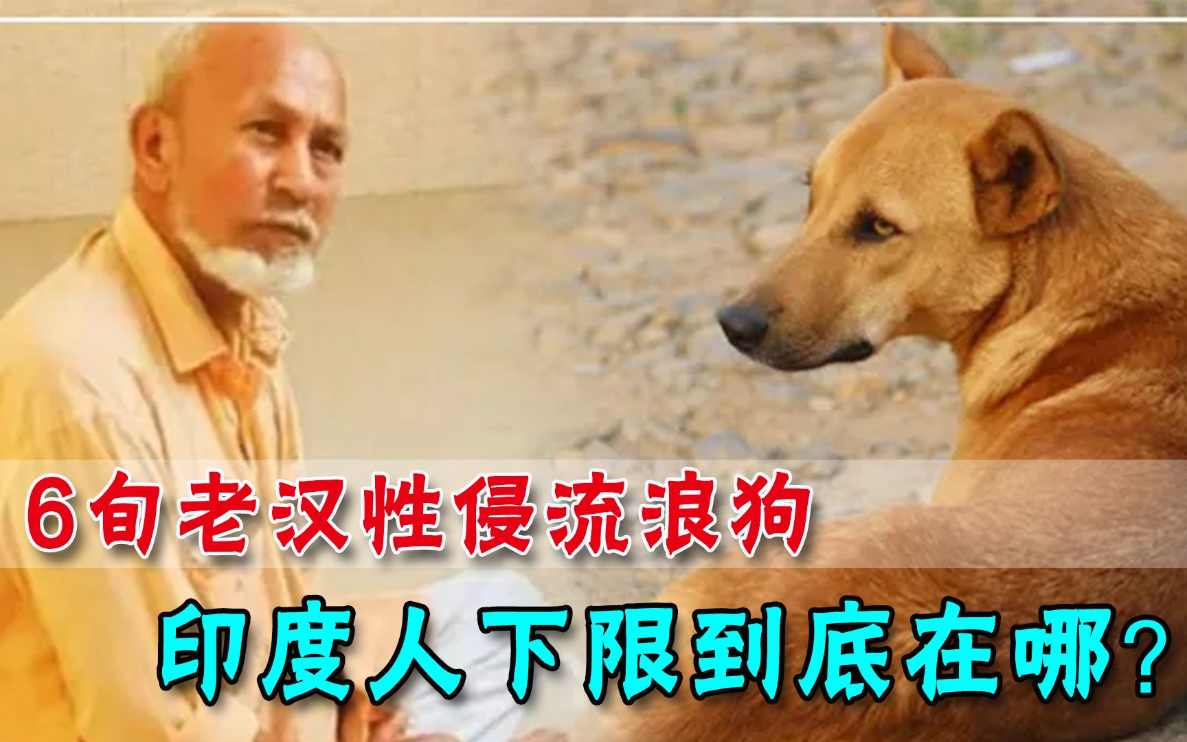三观毁尽！印度老头性侵40余只流浪狗，被捕后还狡辩：狗又没反对