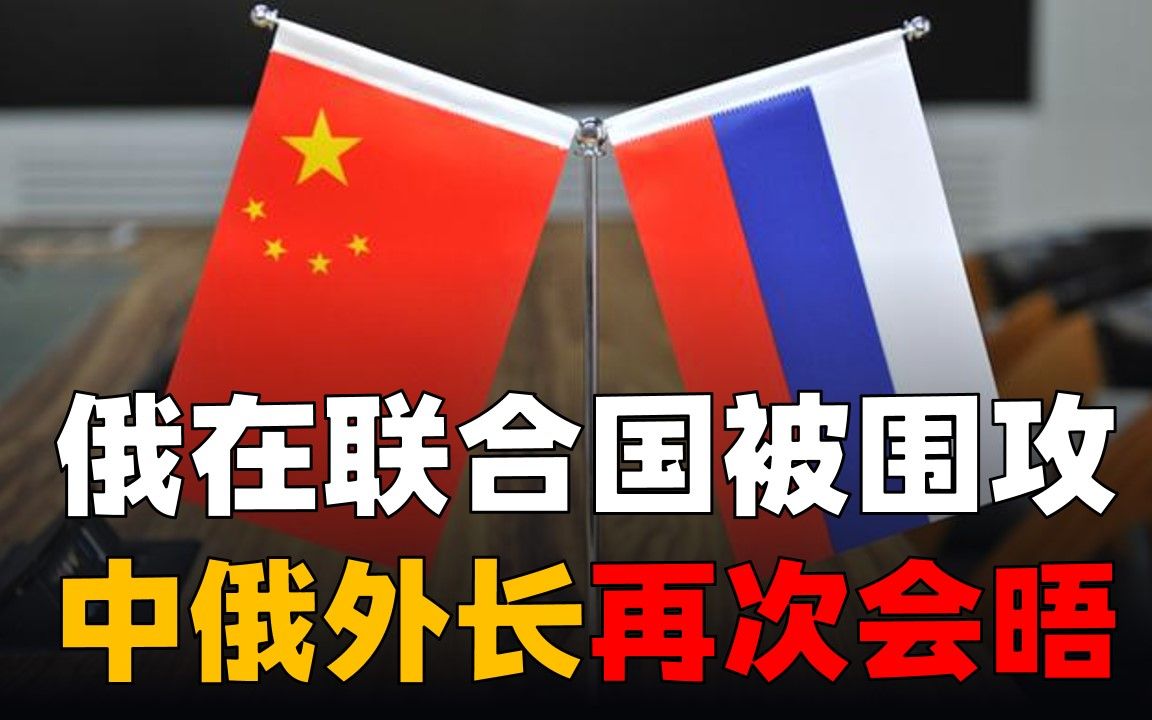 杜平：若还质疑中俄关系，不妨想想西方搞垮俄后将如何对待中国
