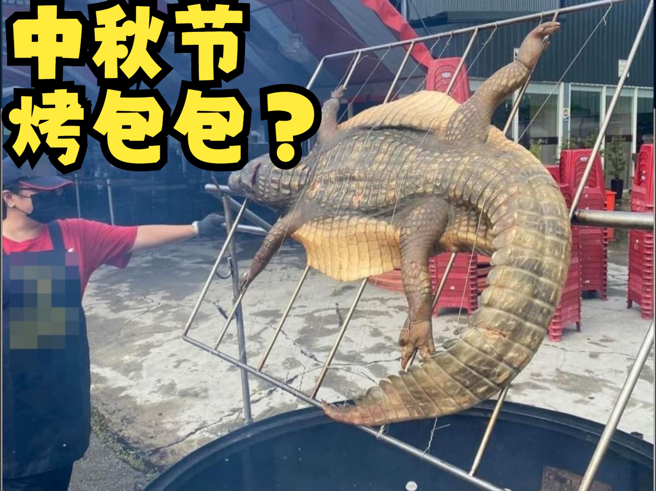 烤鱼烤肉烤鳄鱼，台湾中秋节流行大会烤