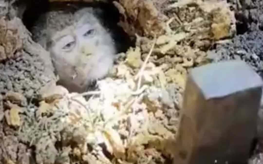 猴哥意外被困树洞，救援队劈木救猴，“原来《西游记》是纪实文学”。