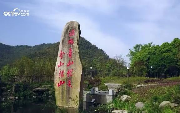 微视频丨绿水青山映初心#绘就美丽中国新画卷