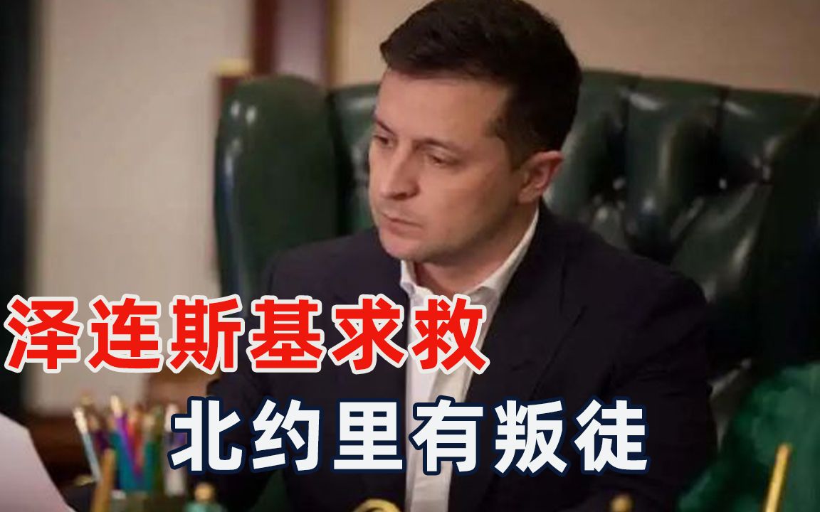 “全球巡演”结束，泽连斯基向北约索要武器，称峰会上能发现叛徒