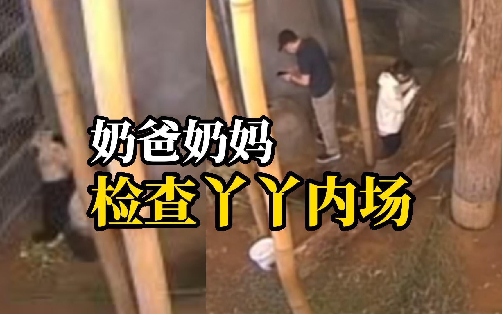 奶爸奶妈现身丫丫内场进行检查