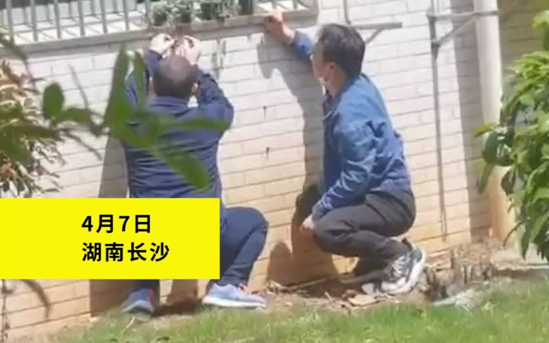 3个老师约好偷吃校长的草莓 2男老师提前下手 女老师做法亮了