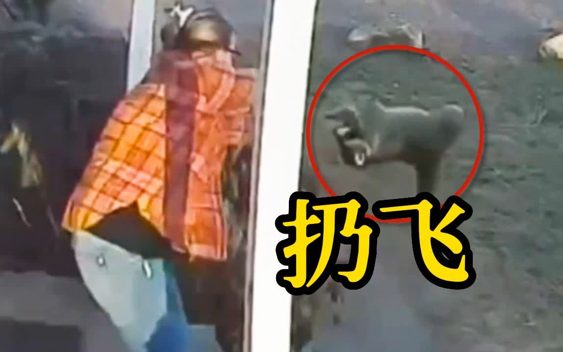 浣熊袭击5岁女孩 被女孩母亲抓住一把扔飞