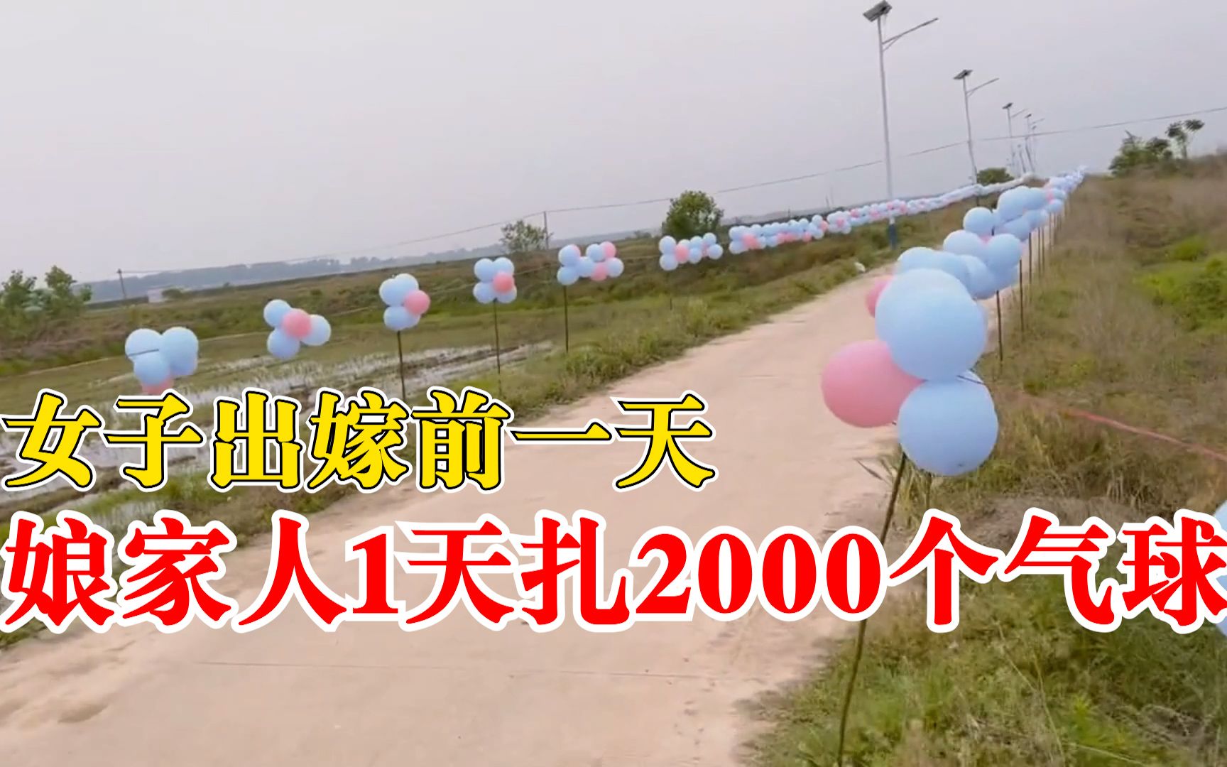 女子出嫁娘家人1天扎2000个气球：10个人布置了500米出嫁路
