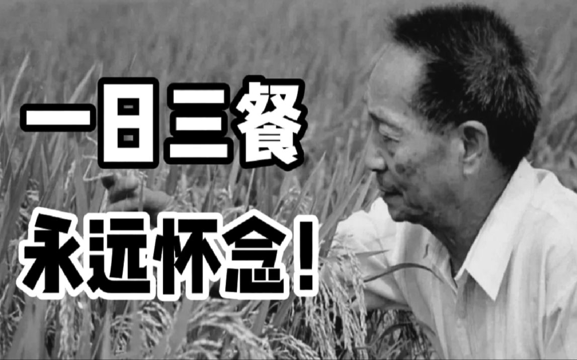 清明将至 袁老的墓边整齐摆放着小提琴和鲜花