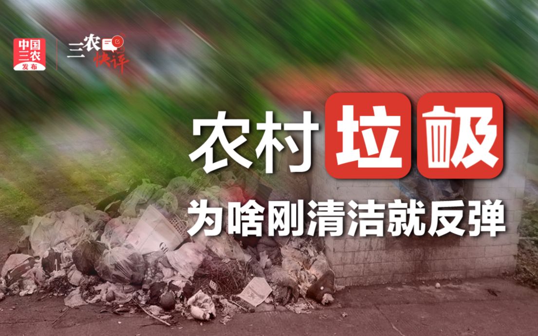 三农锐评丨村里垃圾为啥刚清洁就反弹？