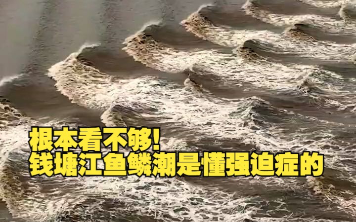 钱塘江鱼鳞潮如千军万马奔腾而来