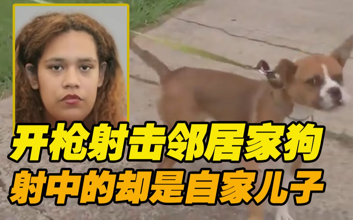 美国一母亲开枪射击邻居家狗 自家5岁儿子不幸“躺枪”