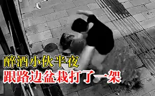醉酒小伙半夜跟路边盆栽打了一架，盆栽主人：已报警，必须道歉