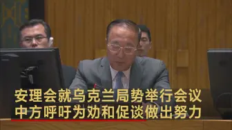 安理会就乌克兰局势举行会议 中方呼吁为劝和促谈做出努力