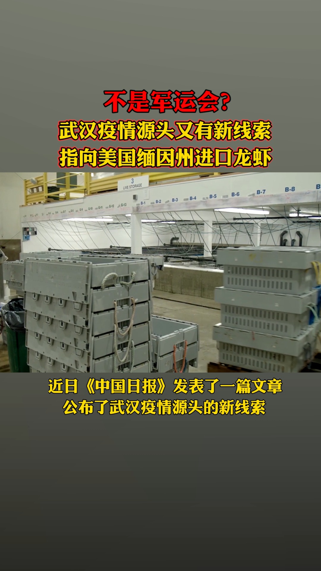 不是军运会？武汉疫情源头又有新线索，指向美国缅因州进口的龙虾