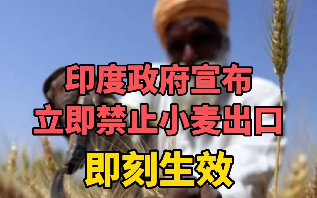 印度政府宣布立即禁止小麦出口