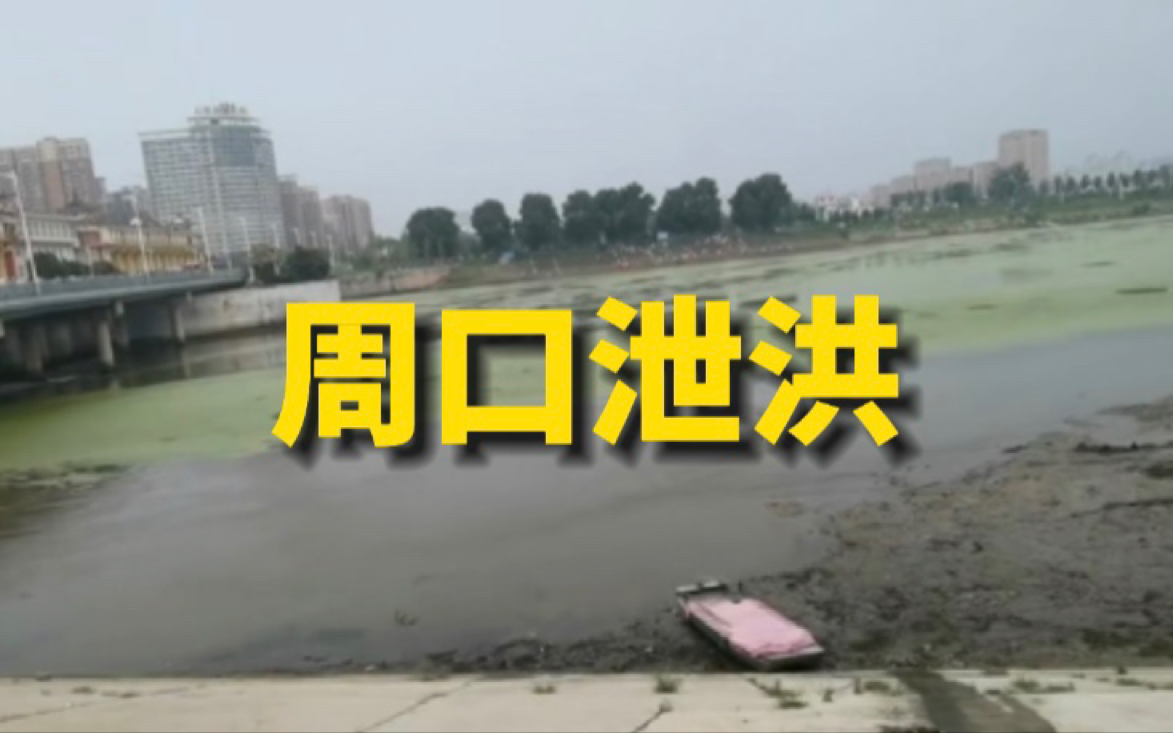 周口贾鲁河开始泄洪