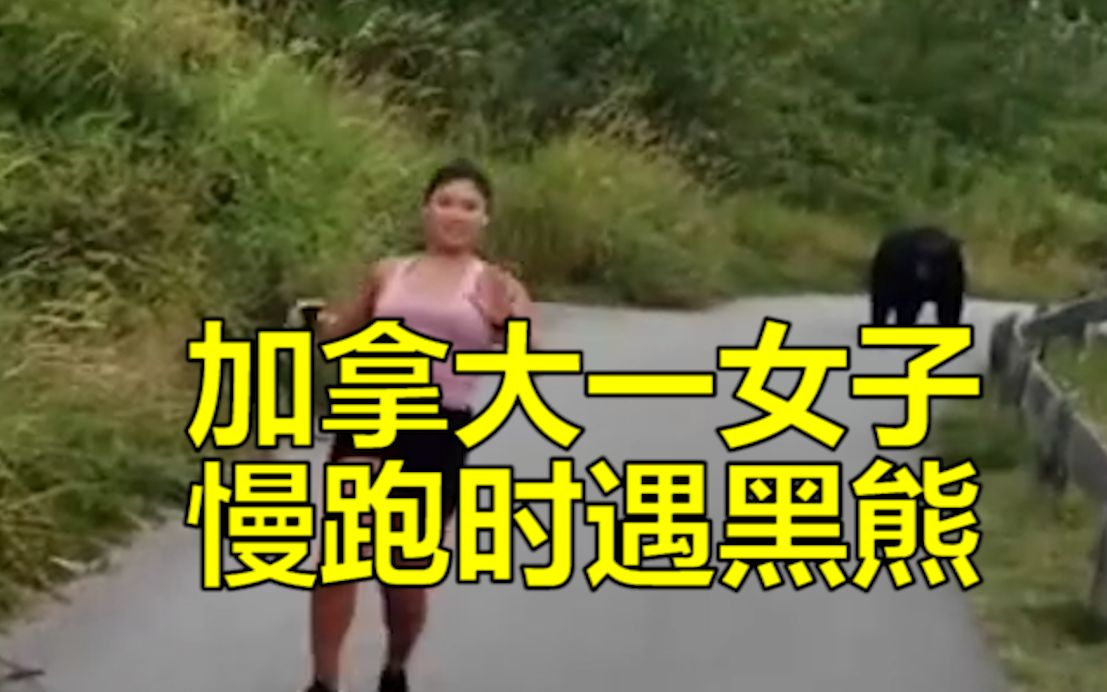 加拿大一女子慢跑时遇黑熊 被摸腿后勇敢逃走