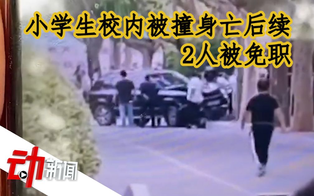 “小学生校内被撞身亡”续：校长、区教育局分管副局长停职
