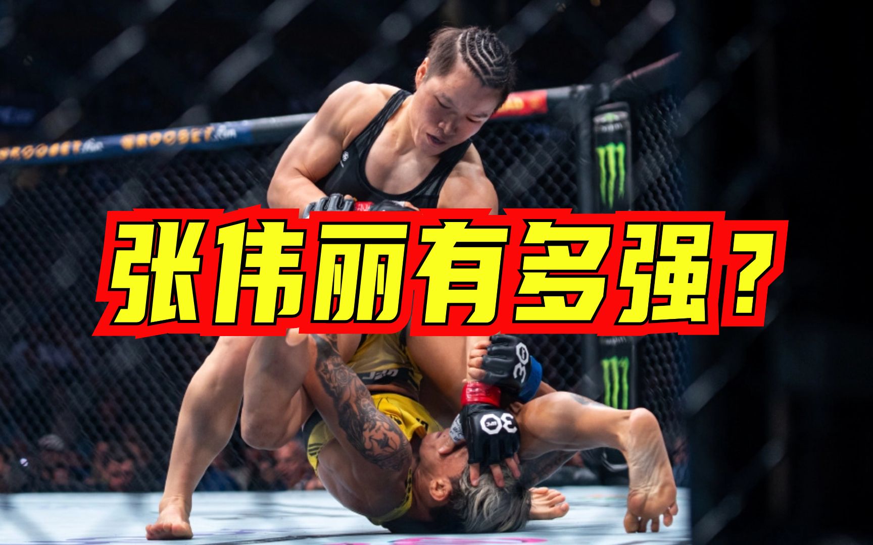 “十年之后你会怎样告诉你的孩子张伟丽有多强？”