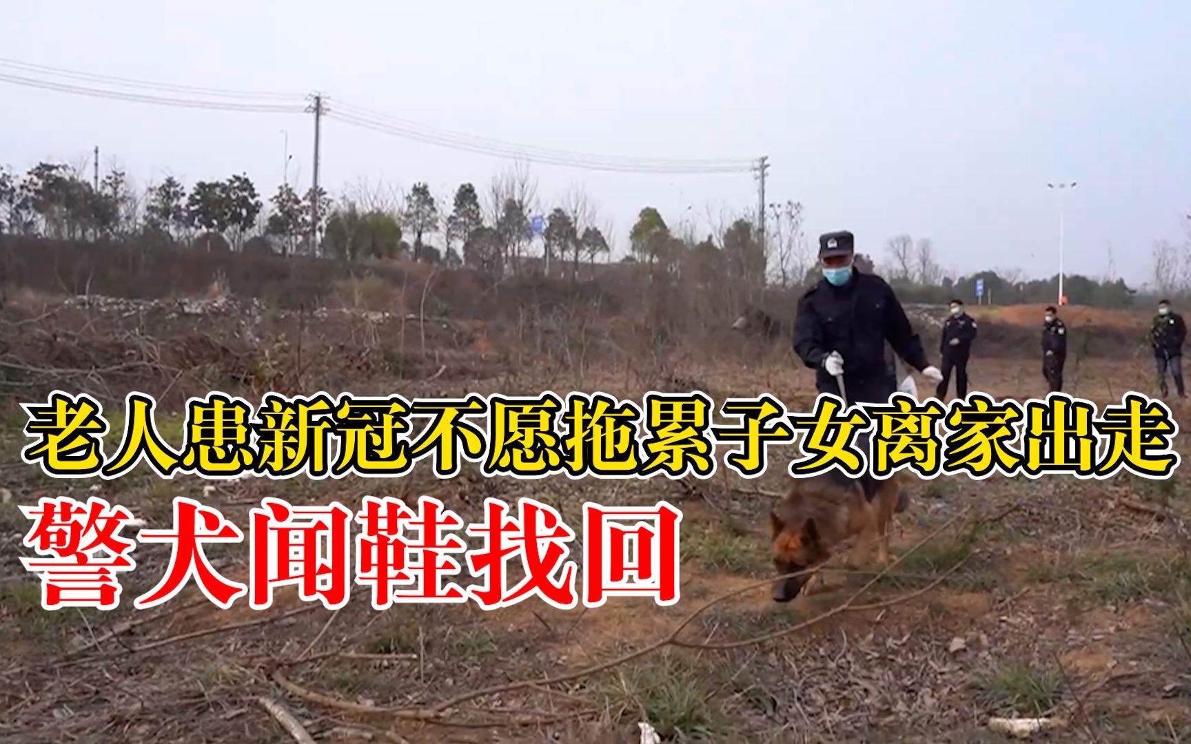 警犬闻鞋找回8旬离家出走老人：老人感染新冠，不想给子女添负担