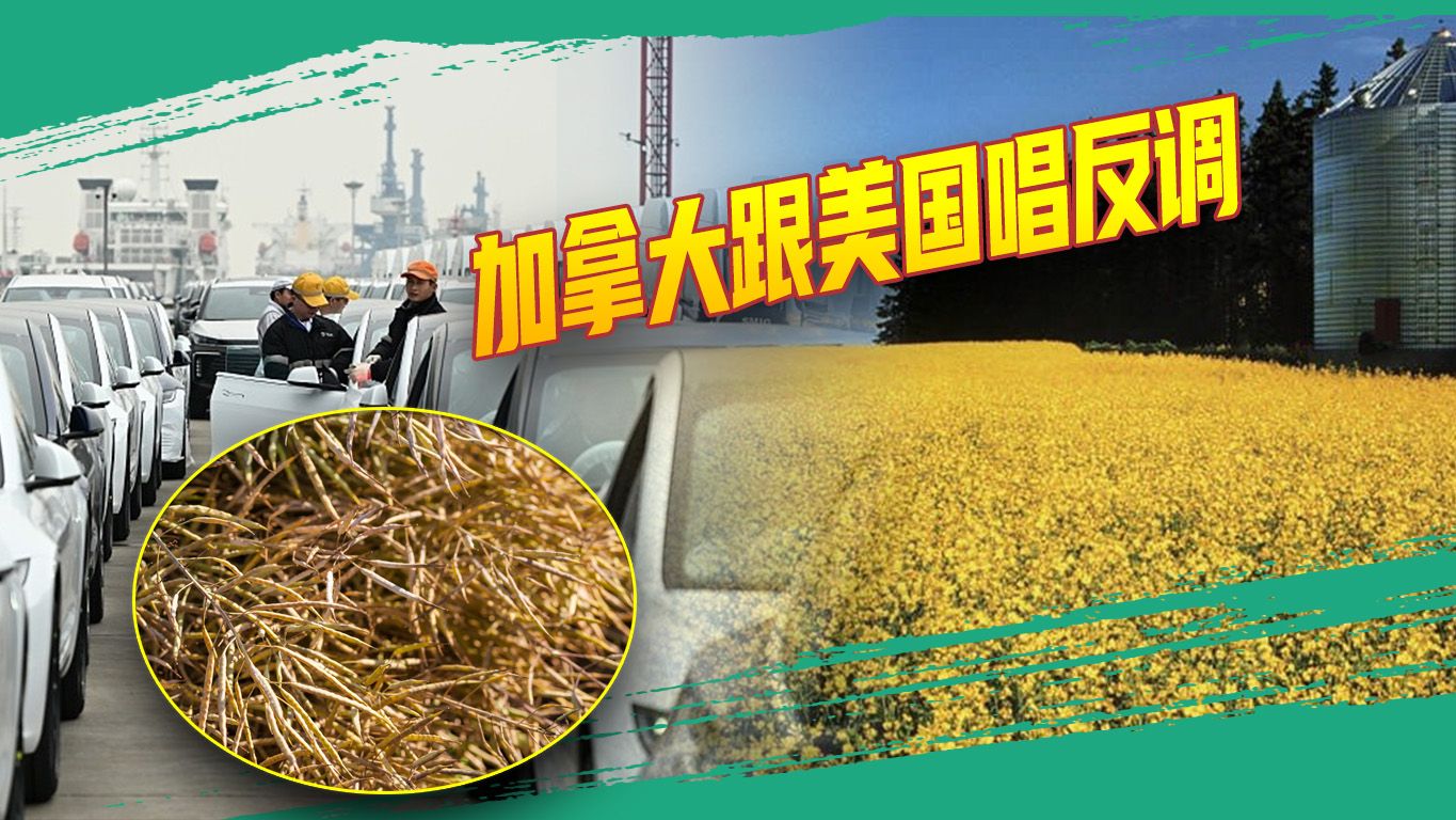 追随美国“反华”，加拿大遭中国“暴击”，美国亚太版北约受质疑