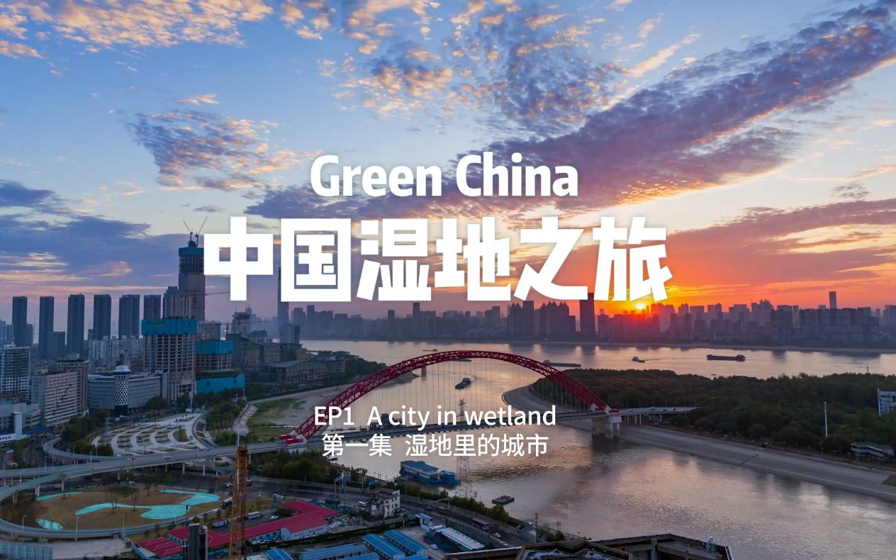 中国湿地之旅：这样的武汉真的爱了！