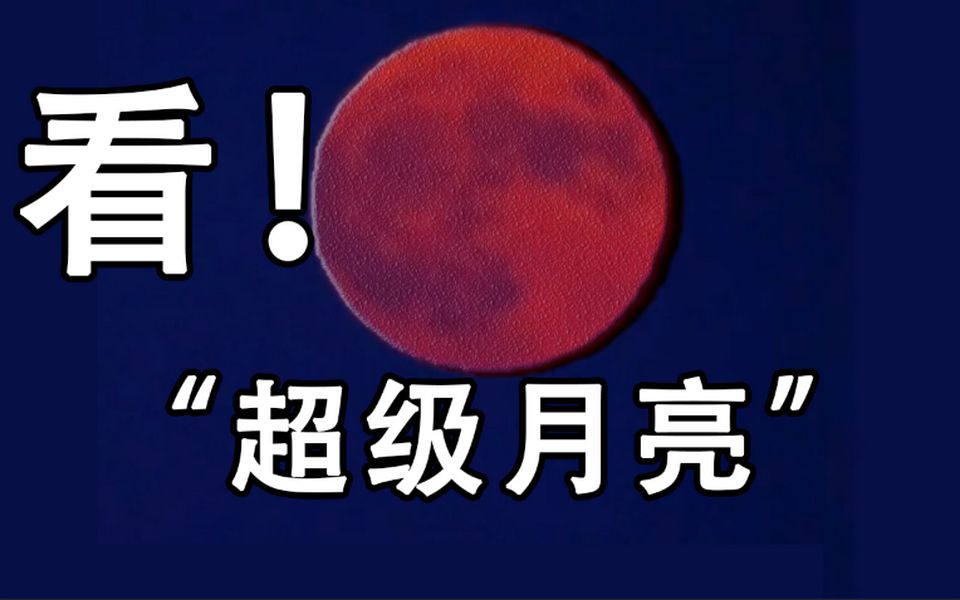 延时摄影｜30秒打卡！2022最大“超级月亮”现身北京夜空