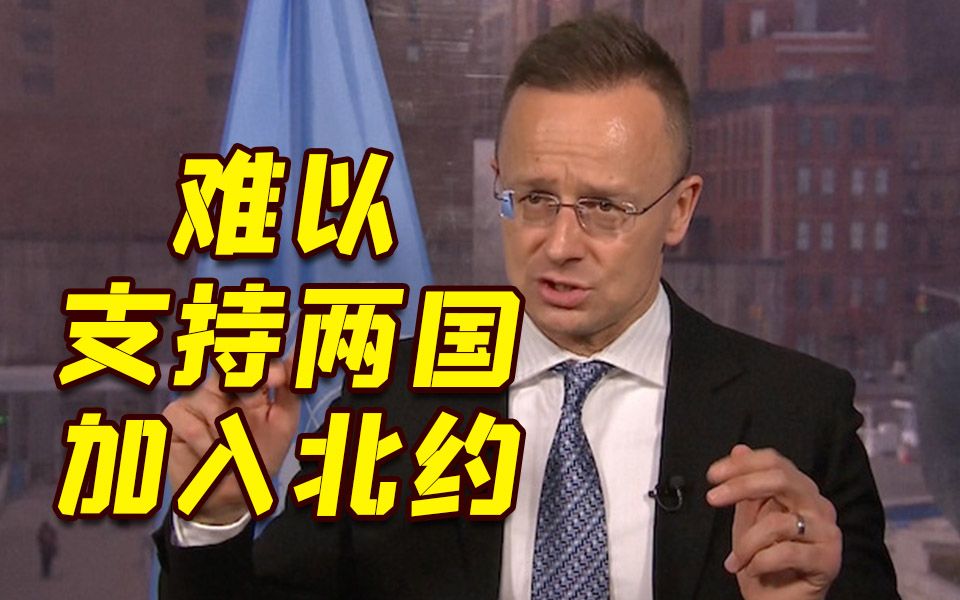 得罪完土耳其又添“新仇” 匈外长抨击芬兰瑞典缺乏尊重
