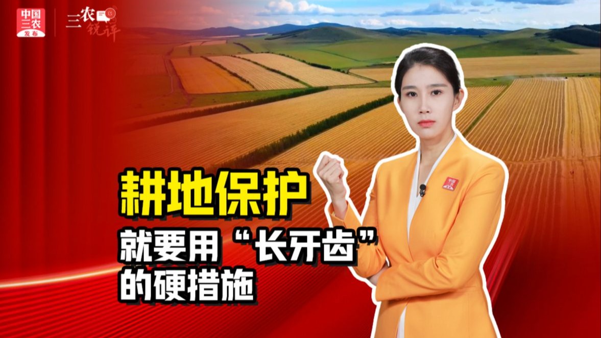 三农锐评丨耕地保护，就要用“长牙齿”的硬措施
