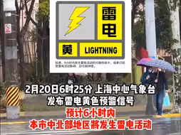 雷电黄色预警发布！上海6小时内将发生雷电活动，请大家注意防范！