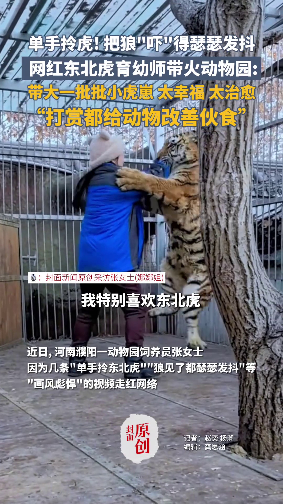 单手拎虎！把狼“吓”得瑟瑟发抖🤣