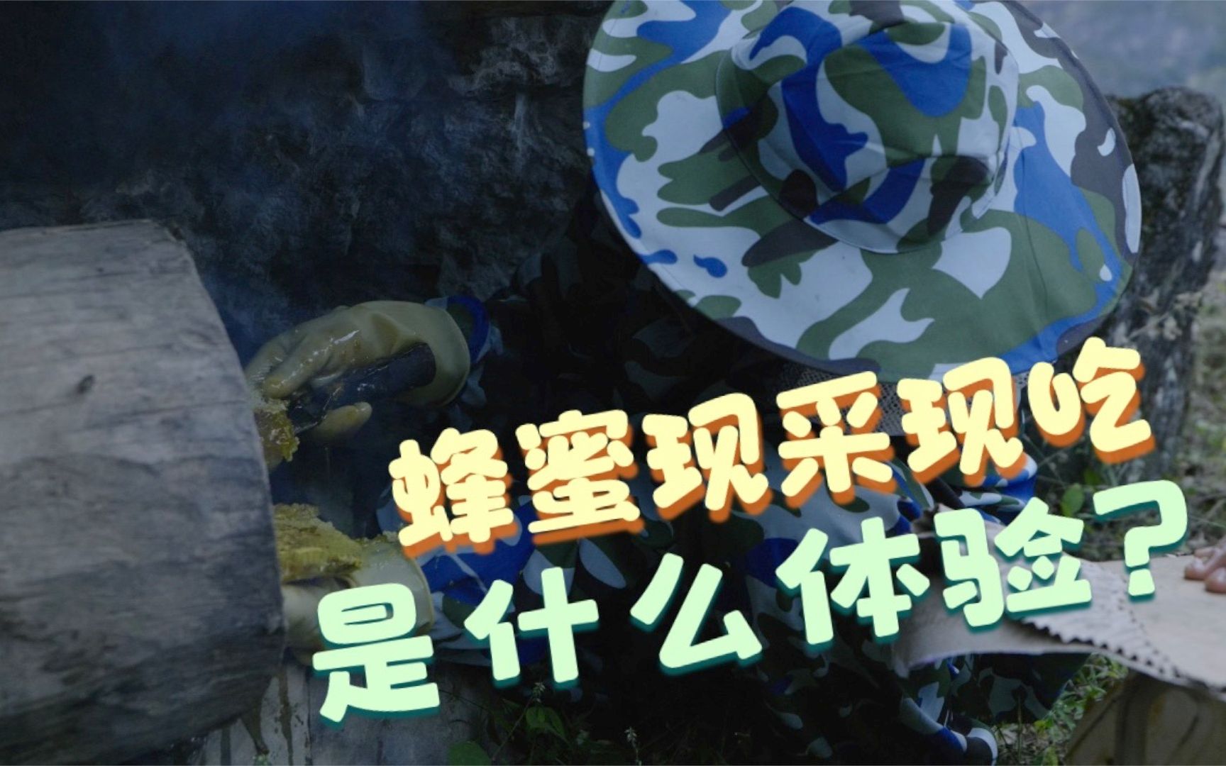 蜂蜜现采现吃是什么体验？