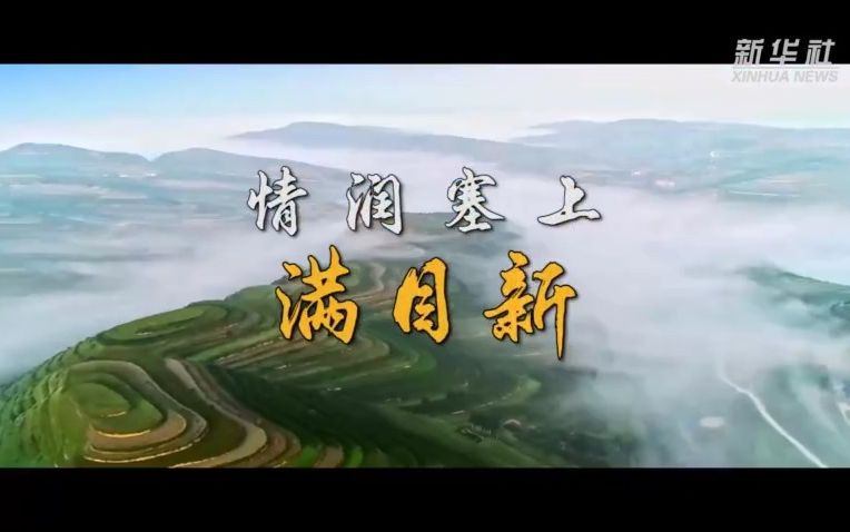 沿着总书记的足迹·宁夏篇：情润塞上满目新